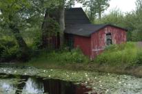 PondBarnD100.jpg