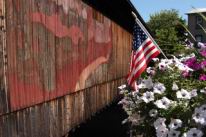 flag_bridge.jpg