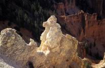 Poodle_Rock.jpg