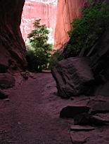 SlotCanyon_ncp.jpg