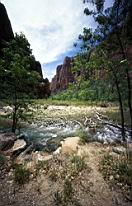 zion000N0.jpg