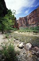 zion001N0.jpg