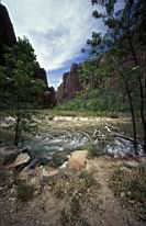 zionRiver0.jpg