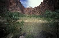 zionRiver1.jpg