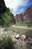zionRiver2jpg.jpg